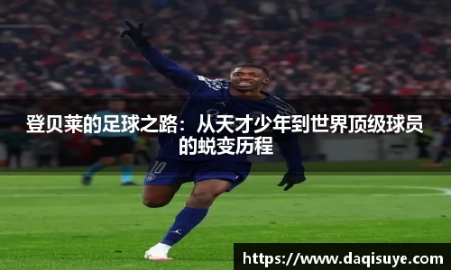 熊猫体育